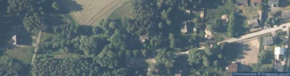 Zdjęcie satelitarne Borki ul.