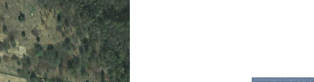 Zdjęcie satelitarne Borowa ul.