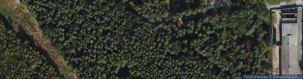 Zdjęcie satelitarne Borowa ul.