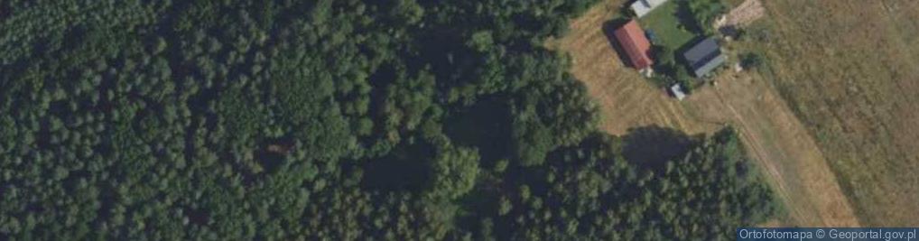 Zdjęcie satelitarne Bocian ul.