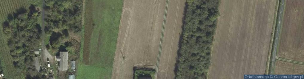 Zdjęcie satelitarne Bogdanka ul.