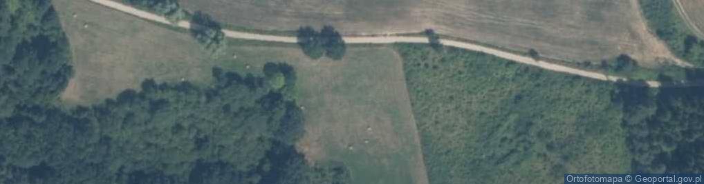 Zdjęcie satelitarne Bogdany ul.