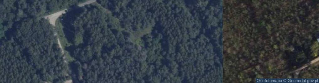 Zdjęcie satelitarne Boginia ul.