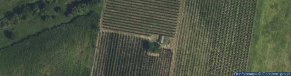 Zdjęcie satelitarne Boglewice ul.