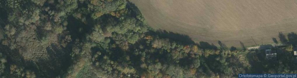 Zdjęcie satelitarne Boguchwałów ul.