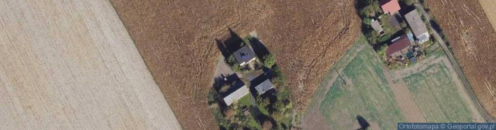 Zdjęcie satelitarne Bogusławki ul.