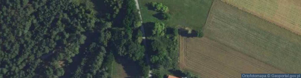 Zdjęcie satelitarne Bogusławy ul.