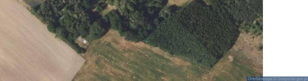 Zdjęcie satelitarne Boguszewo ul.