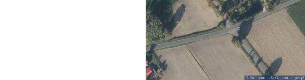 Zdjęcie satelitarne Boguszynek ul.