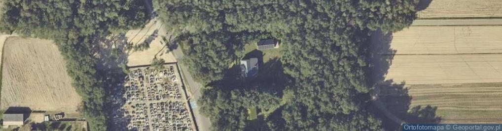 Zdjęcie satelitarne Boleszczyn ul.