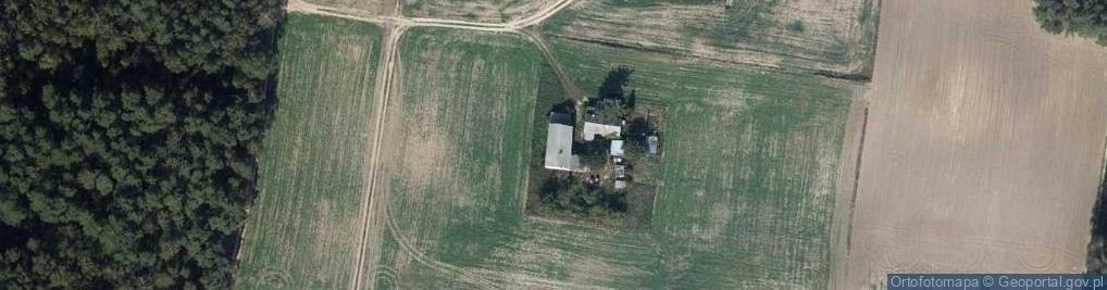 Zdjęcie satelitarne Boleszyn ul.