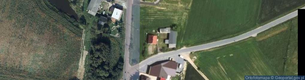 Zdjęcie satelitarne Boleszyn ul.