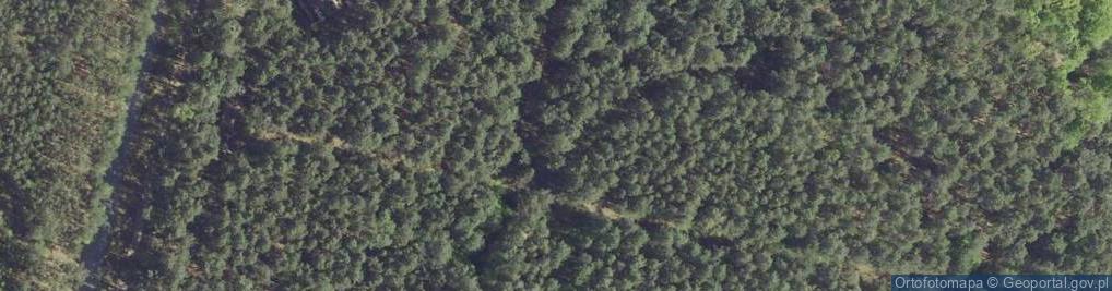 Zdjęcie satelitarne Borek ul.