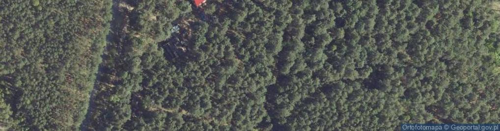 Zdjęcie satelitarne Borek ul.