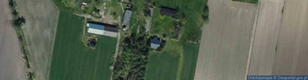 Zdjęcie satelitarne Borki Drużbińskie ul.