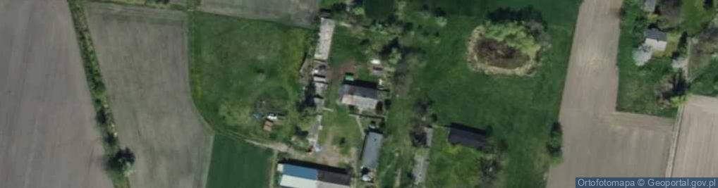 Zdjęcie satelitarne Borki Drużbińskie ul.