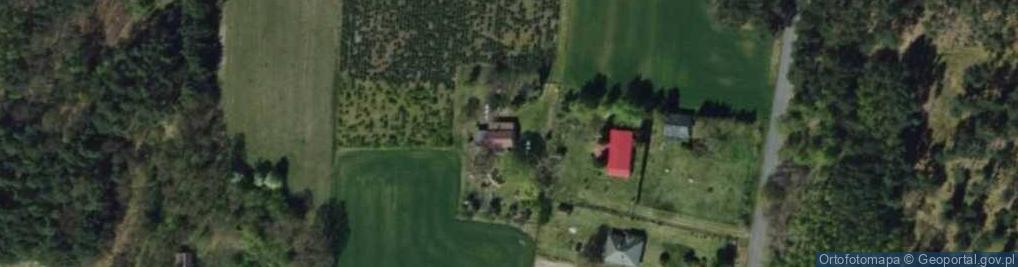 Zdjęcie satelitarne Borki Drużbińskie ul.