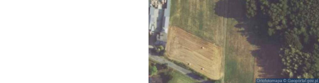 Zdjęcie satelitarne Borki Pichelskie ul.
