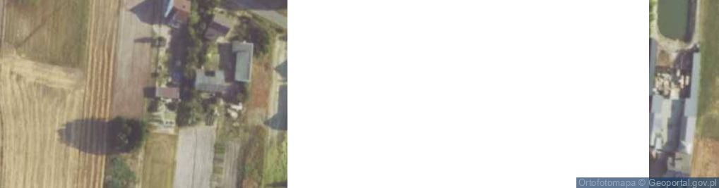 Zdjęcie satelitarne Borki Pichelskie ul.