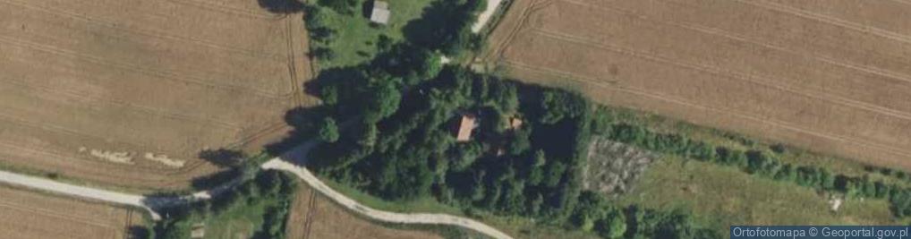 Zdjęcie satelitarne Borki ul.