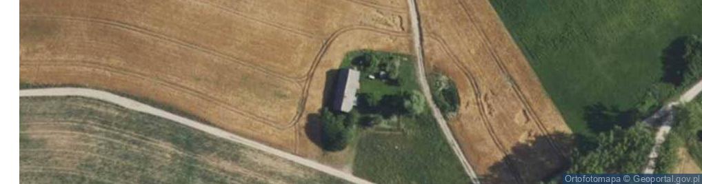 Zdjęcie satelitarne Borki ul.