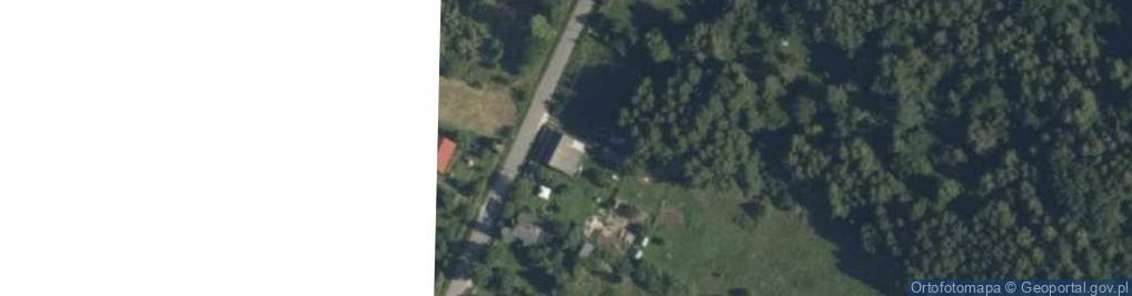Zdjęcie satelitarne Borki ul.