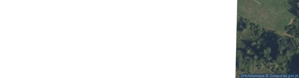 Zdjęcie satelitarne Borki ul.