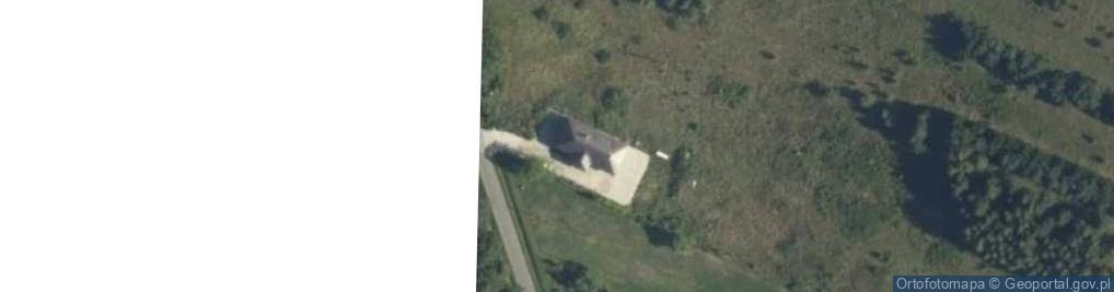 Zdjęcie satelitarne Borki ul.