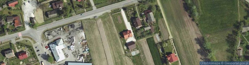 Zdjęcie satelitarne Borki ul.