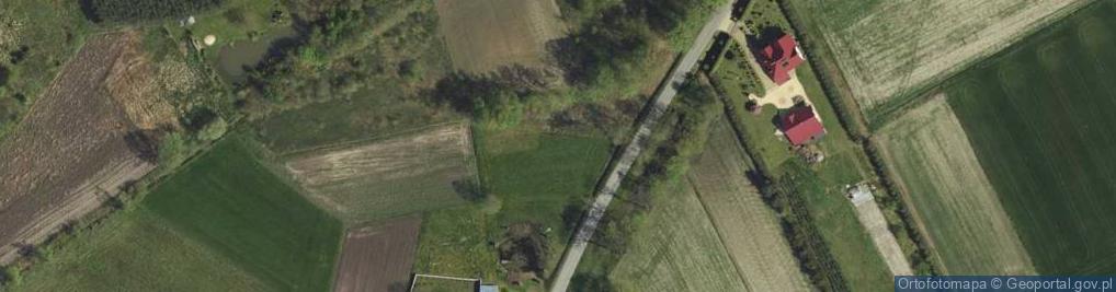 Zdjęcie satelitarne Borki ul.