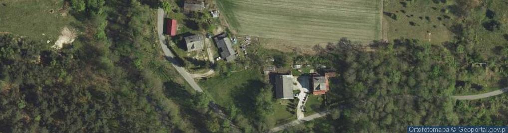 Zdjęcie satelitarne Borki ul.