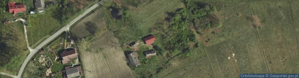 Zdjęcie satelitarne Borki ul.