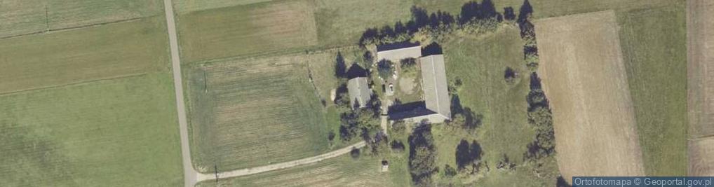 Zdjęcie satelitarne Borki ul.