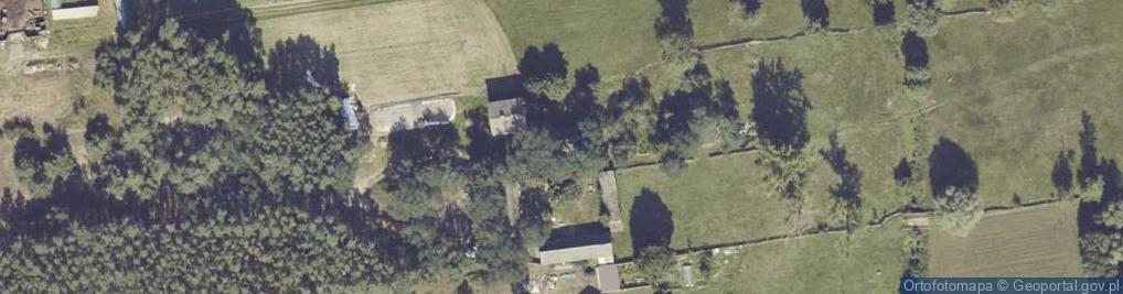 Zdjęcie satelitarne Borki ul.