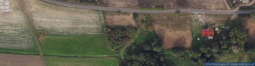 Zdjęcie satelitarne Borki ul.