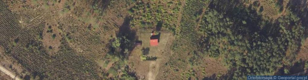 Zdjęcie satelitarne Borki ul.