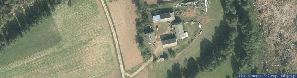 Zdjęcie satelitarne Borki ul.