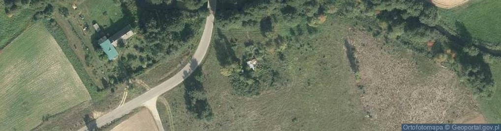 Zdjęcie satelitarne Borki ul.