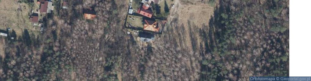 Zdjęcie satelitarne Borki ul.