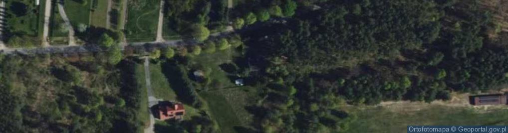 Zdjęcie satelitarne Borki ul.