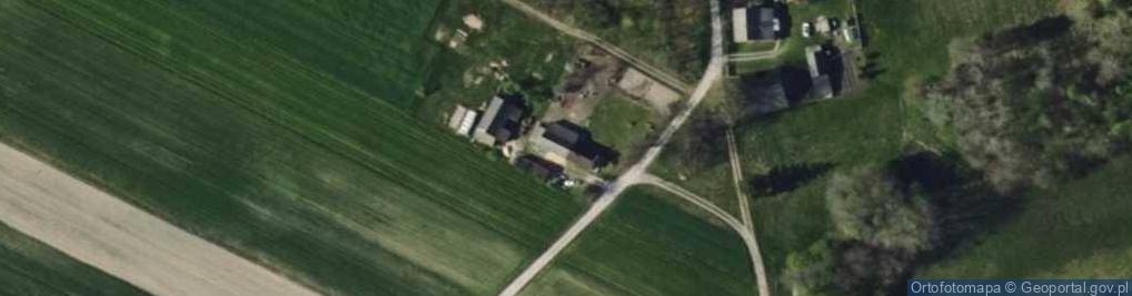 Zdjęcie satelitarne Borki ul.