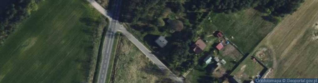 Zdjęcie satelitarne Borki ul.