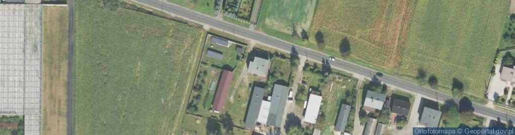 Zdjęcie satelitarne Borków Nowy ul.