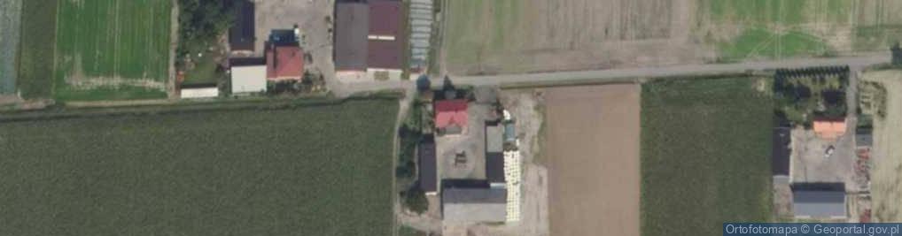 Zdjęcie satelitarne Borków Stary ul.