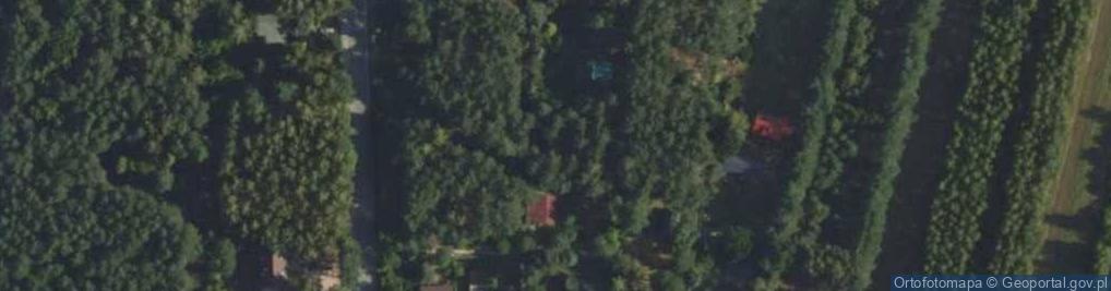 Zdjęcie satelitarne Borków ul.
