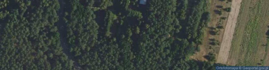 Zdjęcie satelitarne Borków ul.