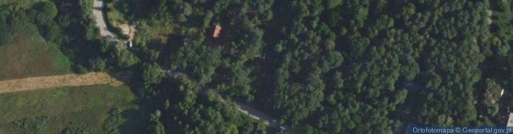 Zdjęcie satelitarne Borków ul.