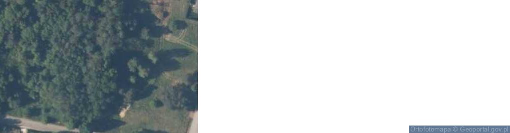 Zdjęcie satelitarne Borków ul.