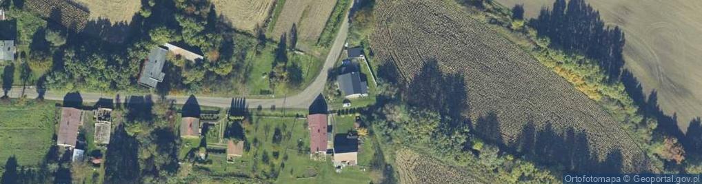 Zdjęcie satelitarne Borkowice ul.
