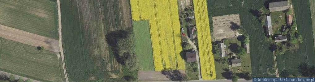 Zdjęcie satelitarne Borkowizna ul.